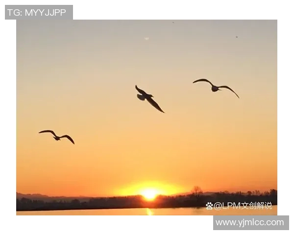 羽旋公益诗歌的温暖之翼在希望的天空中翱翔 羽旋公益诗歌的温暖之翼在希望的天空中翱翔